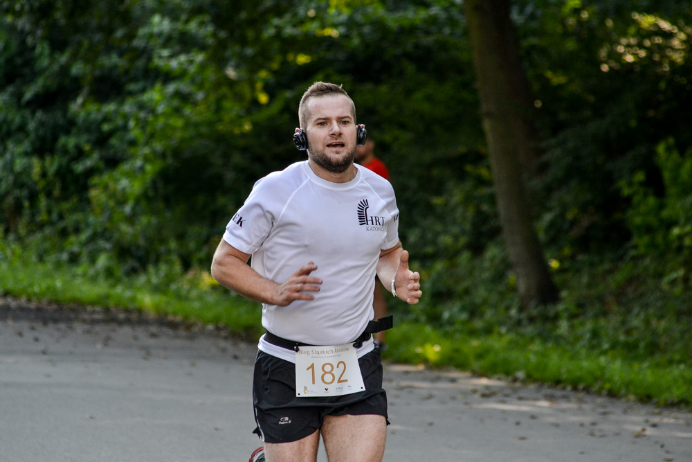 Bieg Śląskich Aniołów 28