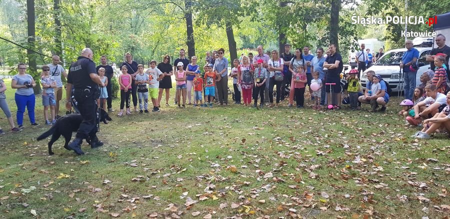 Festyn pod wieżą spadochronową