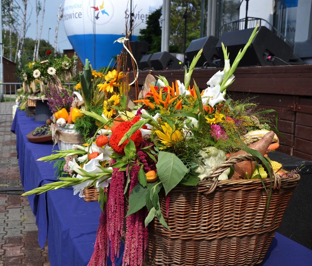 Miejski Dzień Działkowca za nami!