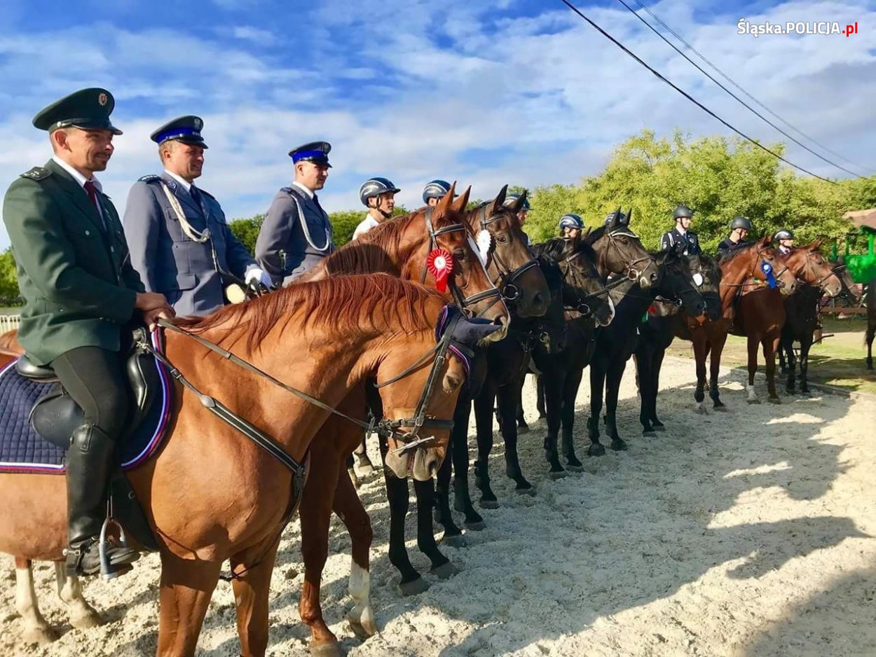 Policyjni jeźdźcy w czołówce na zawodach w Mezohegyes