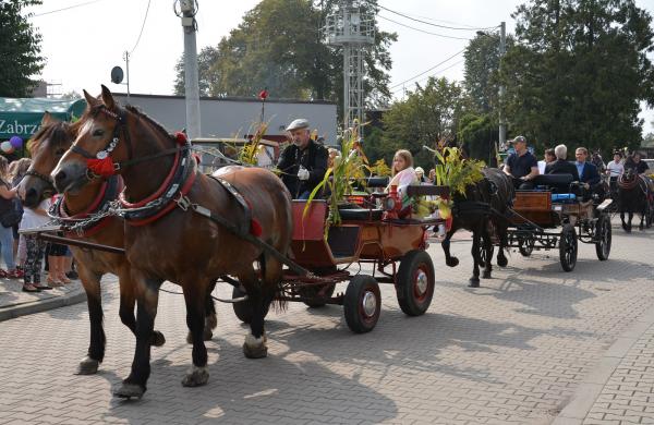 Dożynki Miejskie w Grzybowicach
