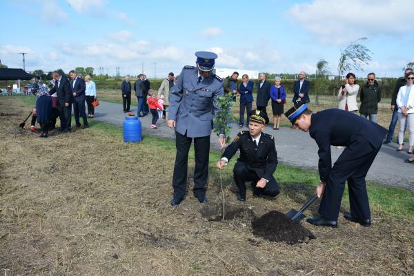 Dęby Niepodległości w zabrzańskiej strefie ekonomicznej