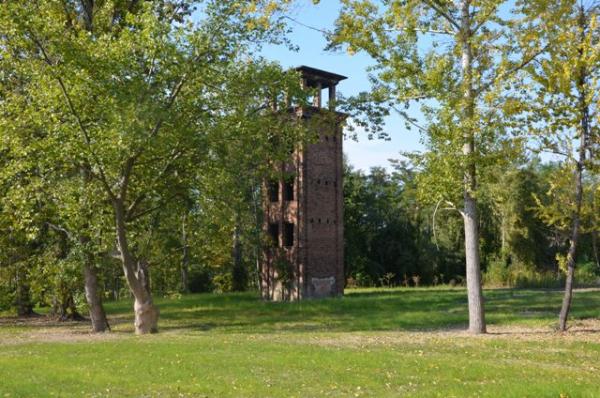 Zabrze wyróżnione za działania ekologiczne