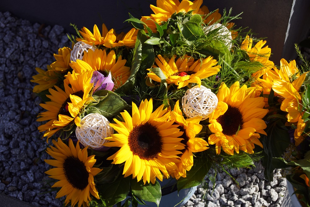 Nowy plac zabaw w MP nr 42 6