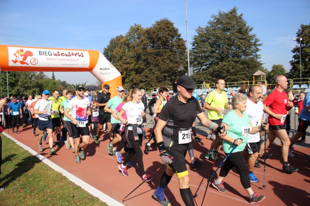 Bieg Wiewiórki 33