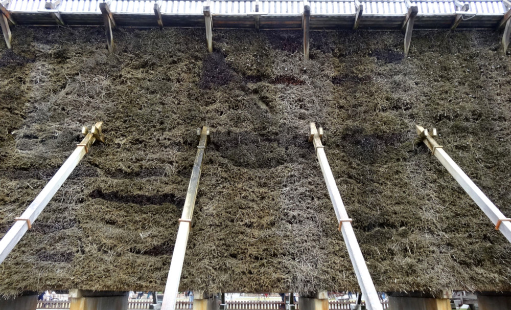 Mały Ciechocinek w Mikołowie? Już niedługo!