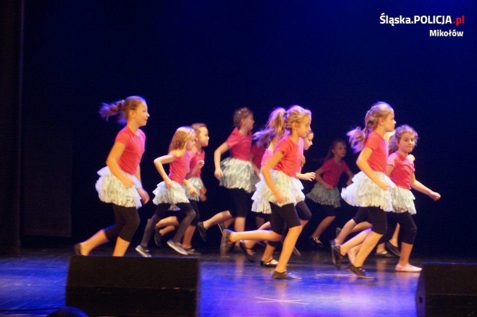 Stróże prawa podczas IV Mikołowskiego Dnia Seniora