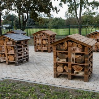 Centrum Edukacji Ekologicznej