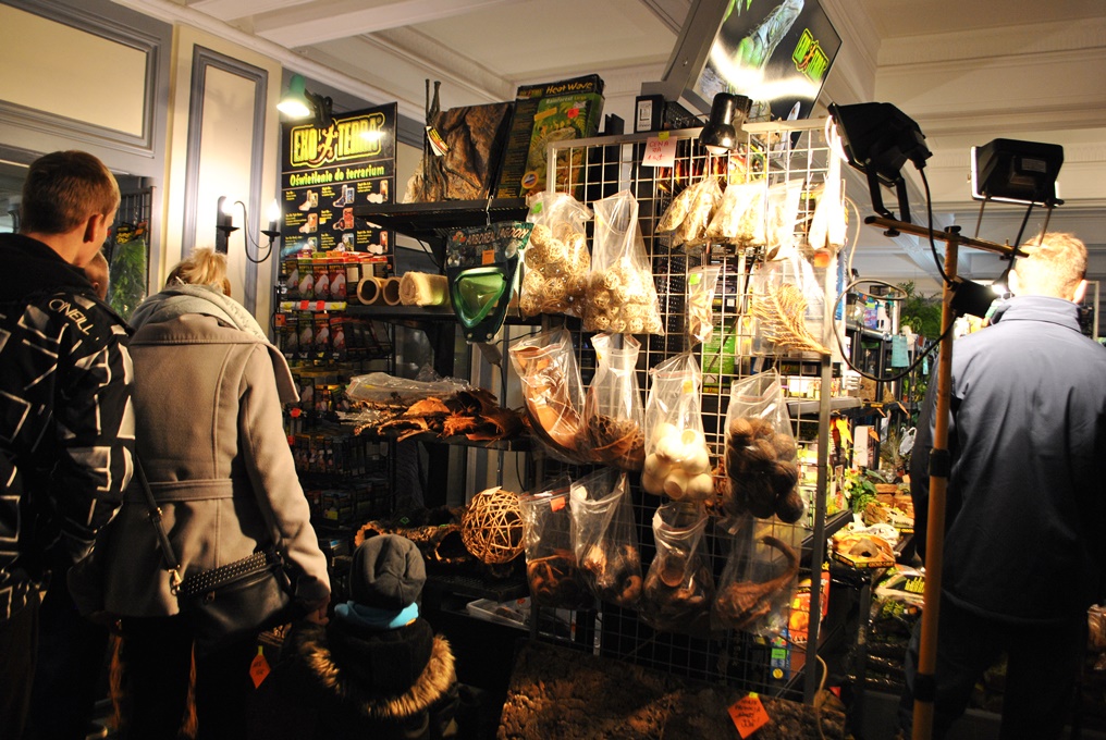 Za nami giełda terrarystyczna w CKŚ