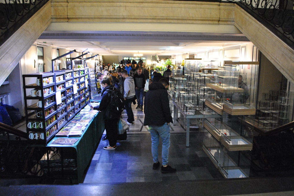 Za nami giełda terrarystyczna w CKŚ