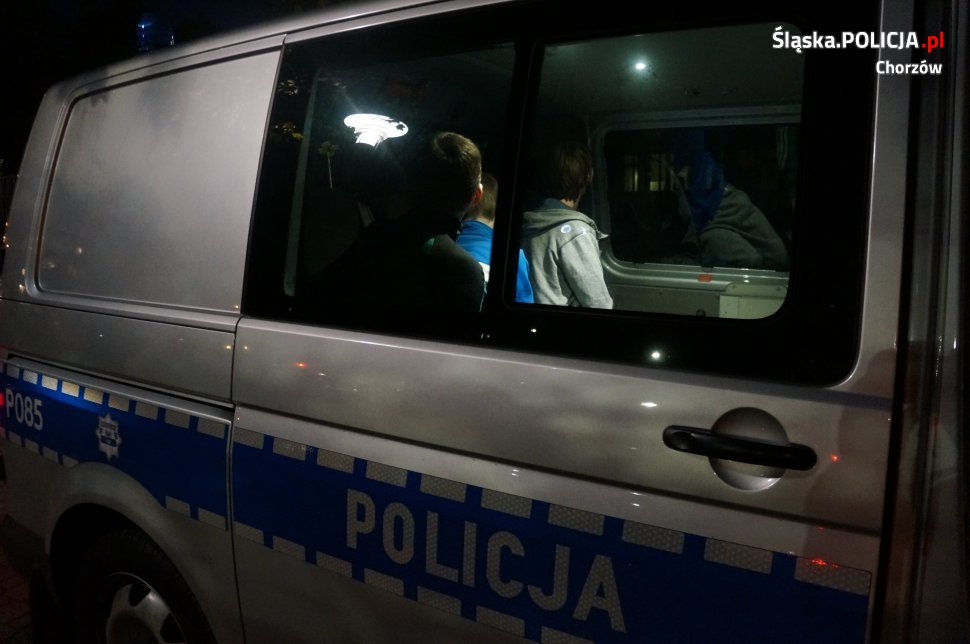 Zatrzymani graficiarze