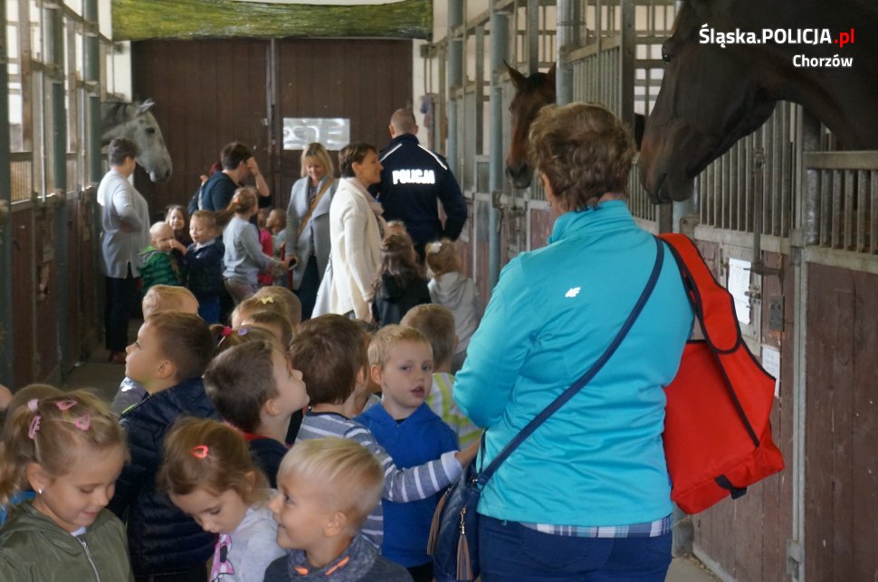 Przedszkolaki odwiedziły chorzowskich konnych