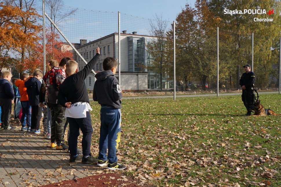 Bezpieczeństwo ma wiele twarzy
