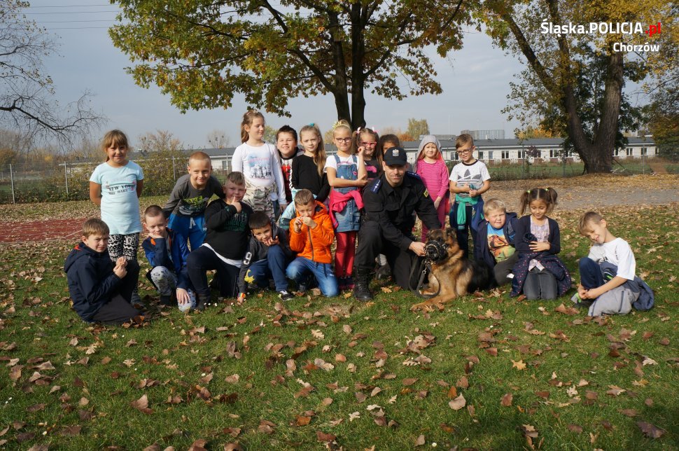 Bezpieczeństwo ma wiele twarzy