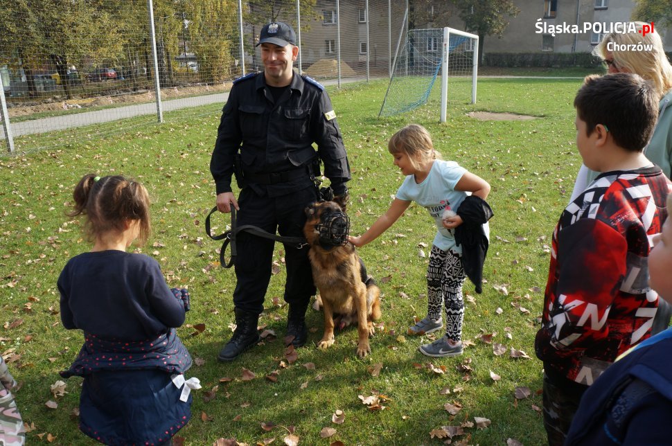 Bezpieczeństwo ma wiele twarzy