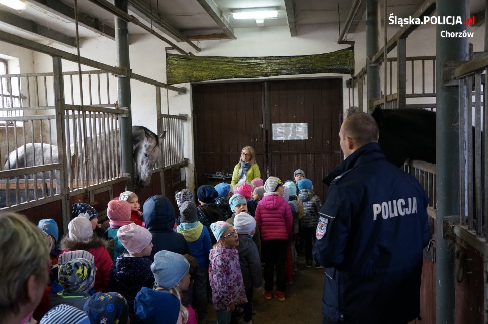 Przedszkolaki odwiedziły chorzowskich konnych