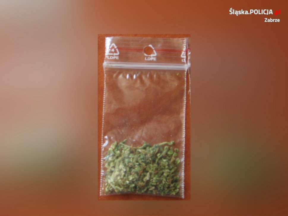 Zatrzymany za posiadanie narkotyków