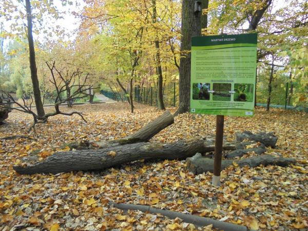 Miejski Ogród Botaniczny zaprasza