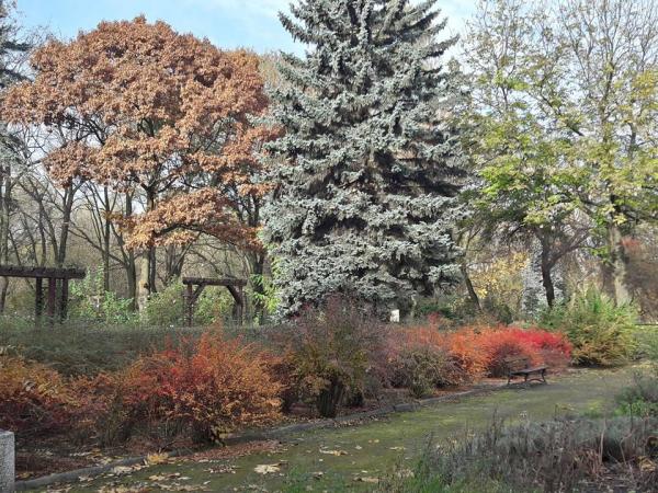 Miejski Ogród Botaniczny zaprasza