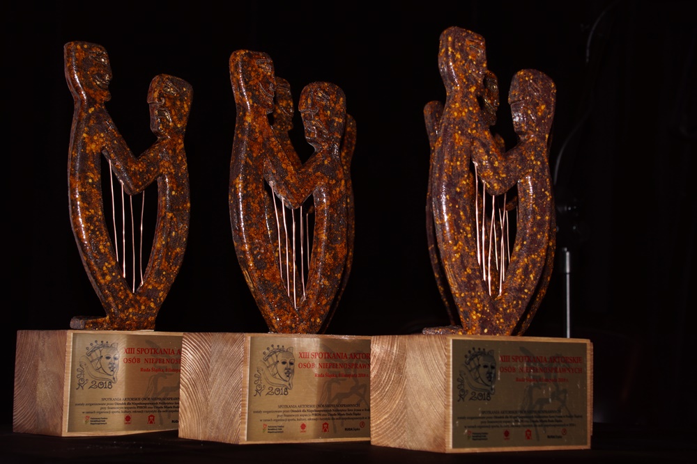 Spotkania Aktorskie Osób Niepełnosprawnych 16