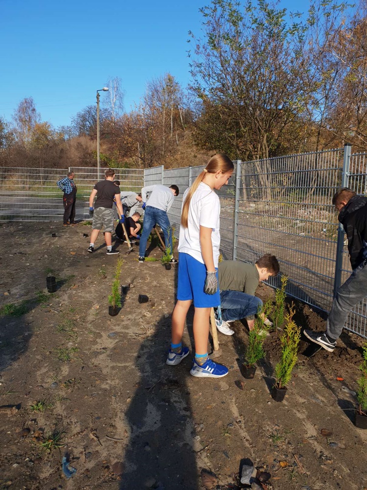 Nasadzenia w SP nr 16 4