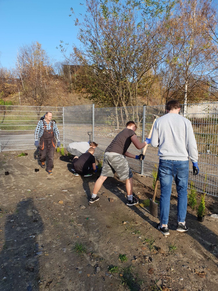 Nasadzenia w SP nr 16 5