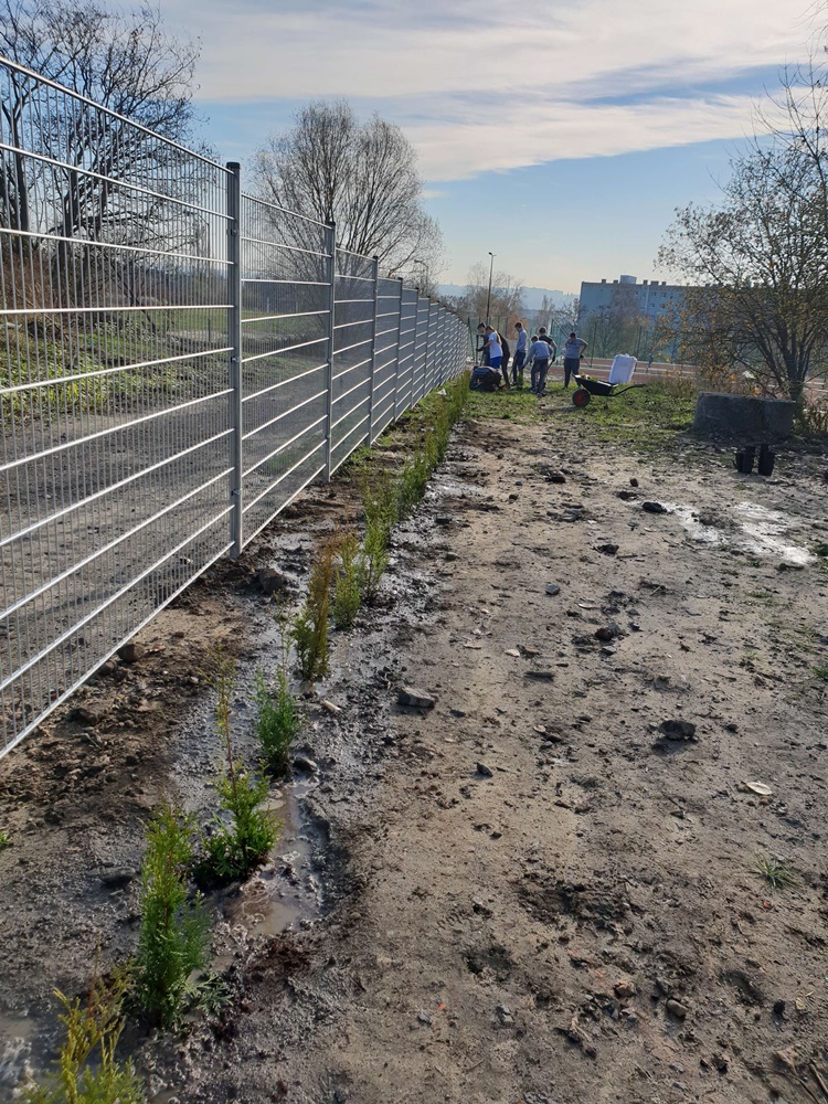 Nasadzenia w SP nr 16 6