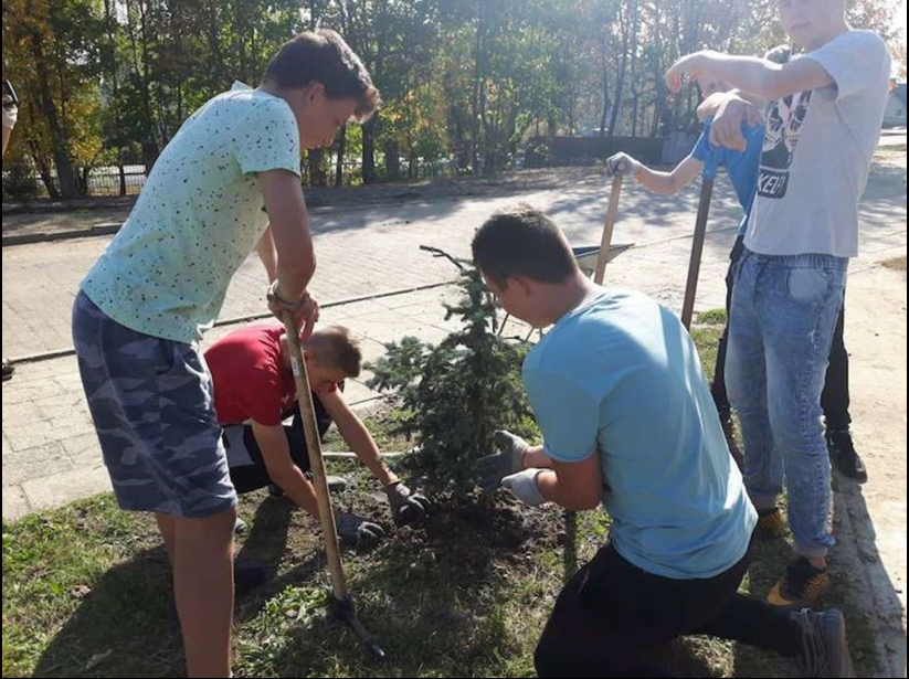 Nasadzenia w SP nr 16 7