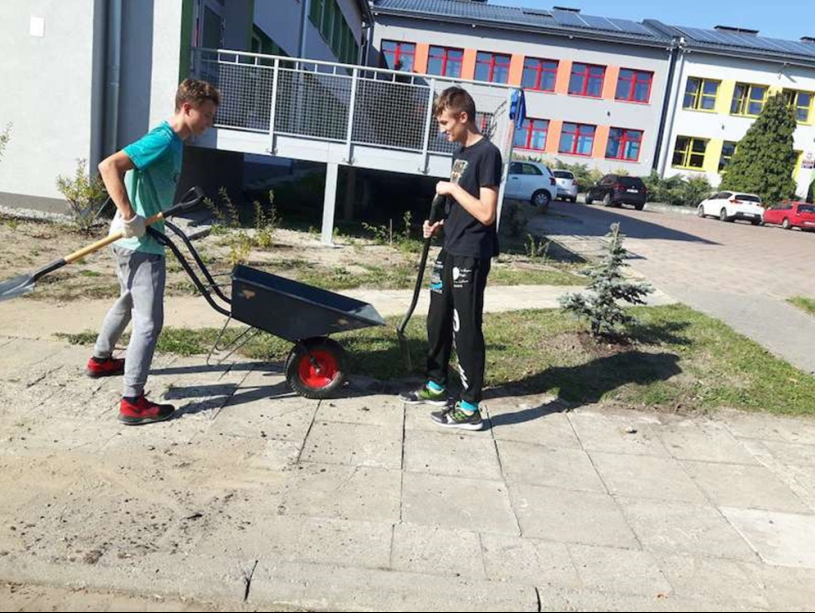 Nasadzenia w SP nr 16 9