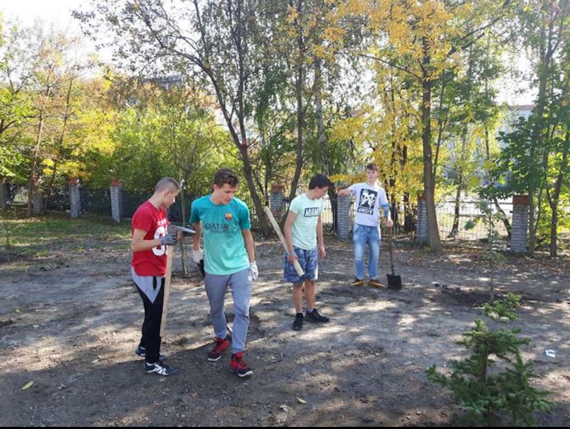 Nasadzenia w SP nr 16 10