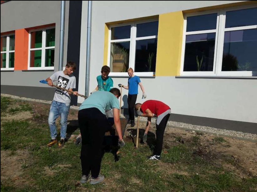 Nasadzenia w SP nr 16 11