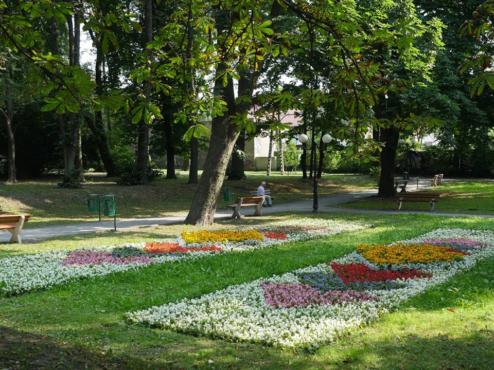 Zmiany w Parku Miejskim