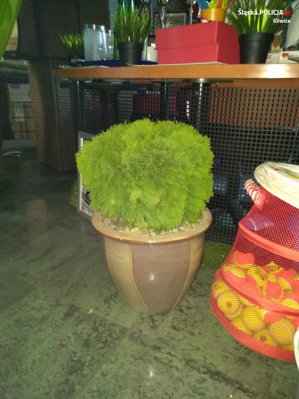 Policjanci odzyskali skradzione meble