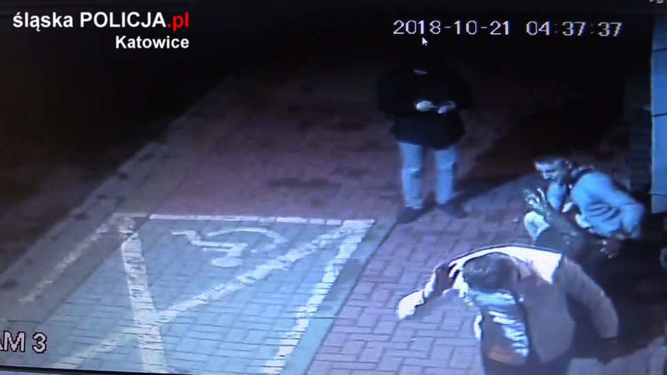 Uszkodzili rzeźbę, nagrały ich kamery. Rozpoznajesz ich?