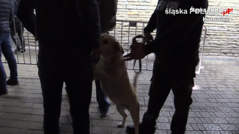 22 osoby zatrzymane z narkotykami podczas imprezy w Spodku!