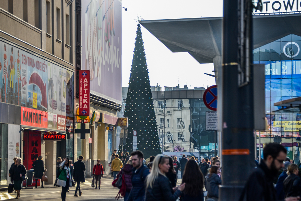 Choinka już jest, budują lodowisko... święta idą!