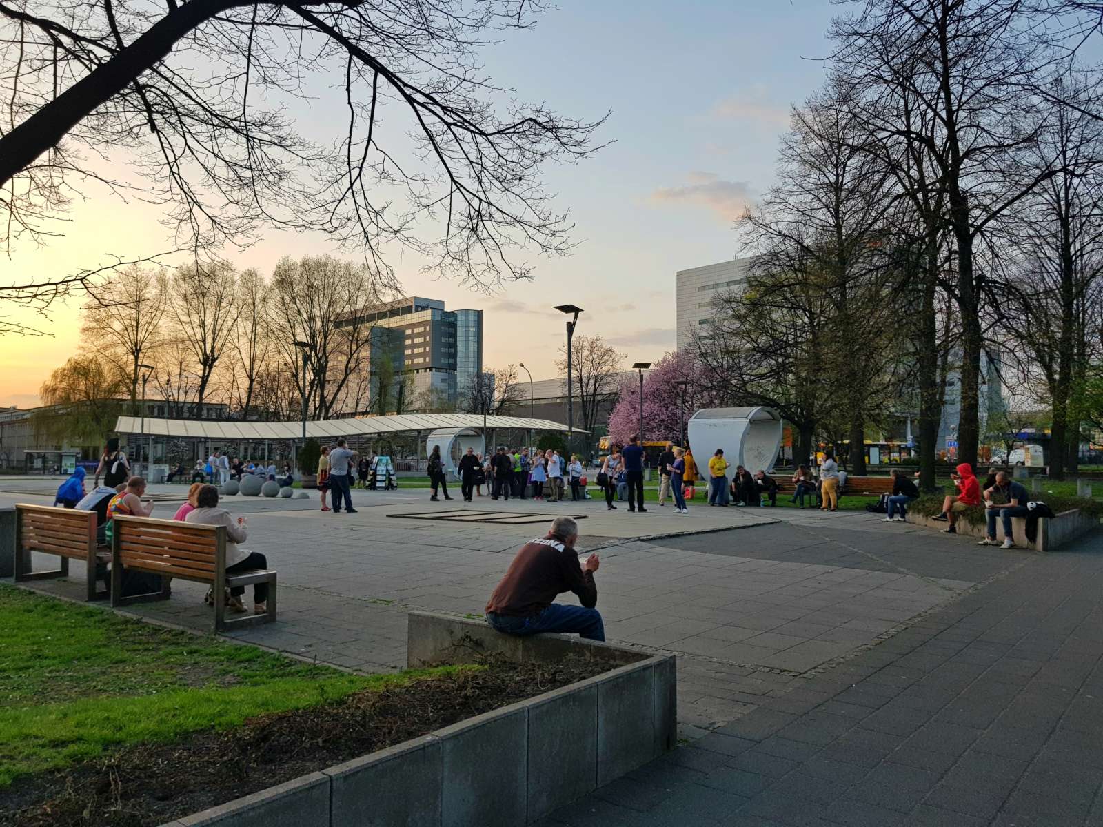Świętuj w niedzielę Światowy Dzień Ubogich, zaprasza papież i Zupa w Kato!