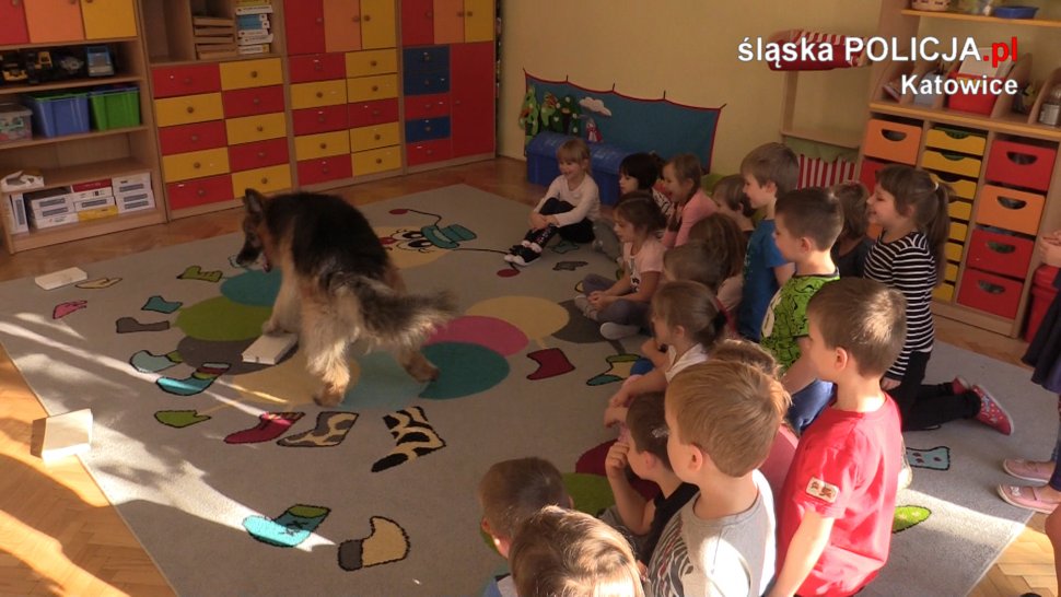 Najcenniejsze jest bezpieczeństwo dziecka