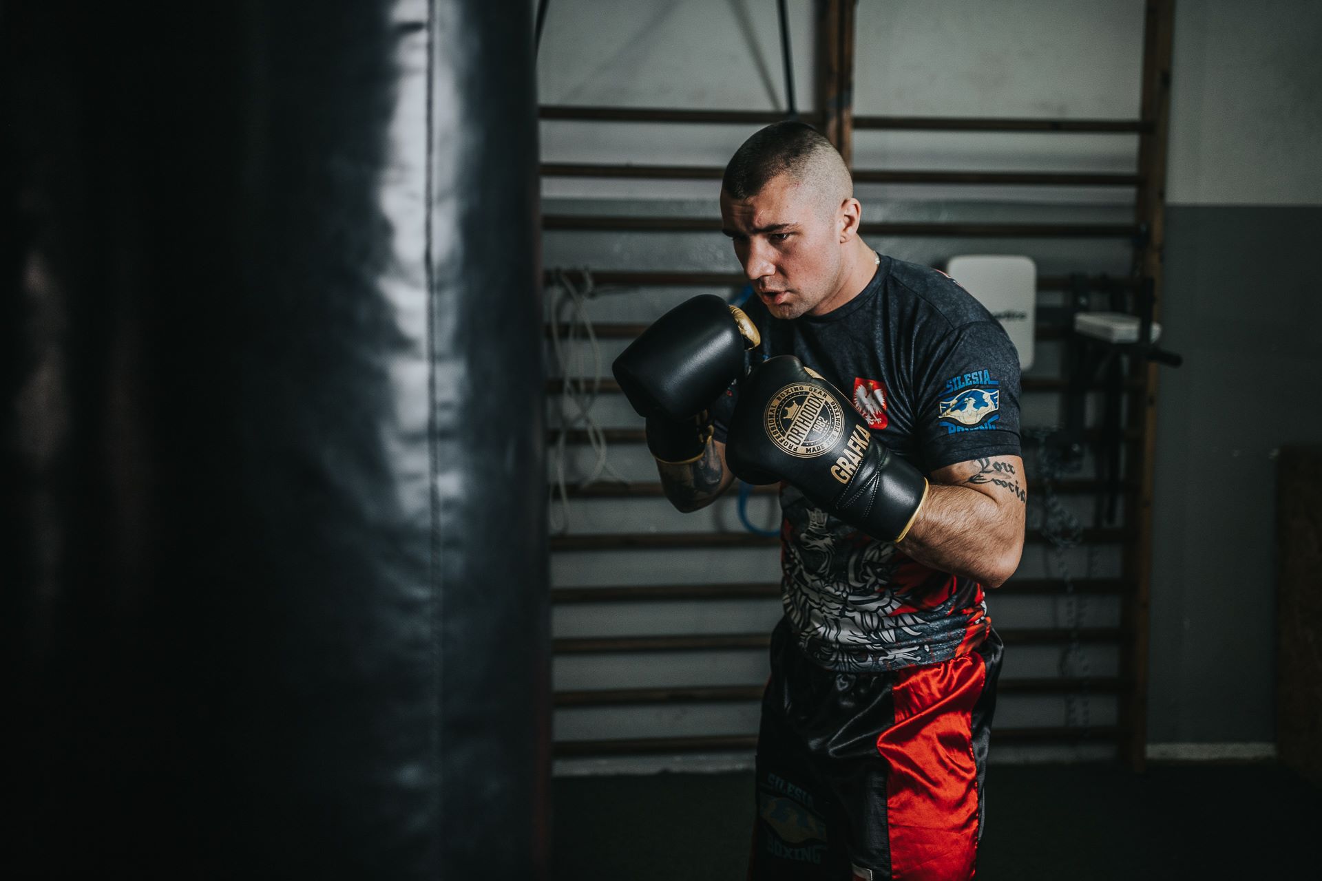 Silesia Boxing Show już 1. grudnia!