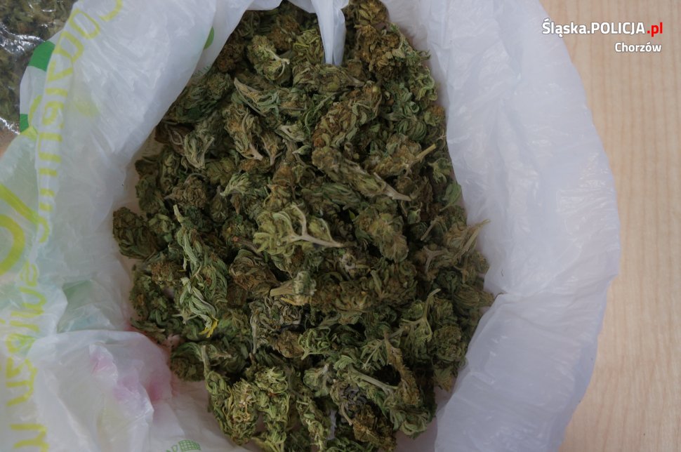 Miał marihuanę na "swoje potrzeby"