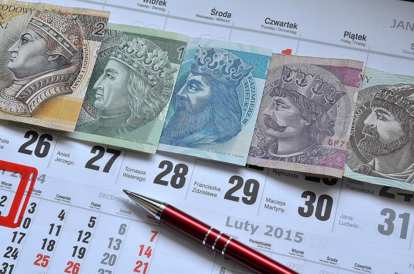 Które firmy udzielają pożyczek na 12 miesięcy i jak wygląda procedura?