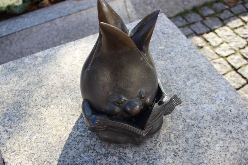 Przybędzie uroczych Żorków!