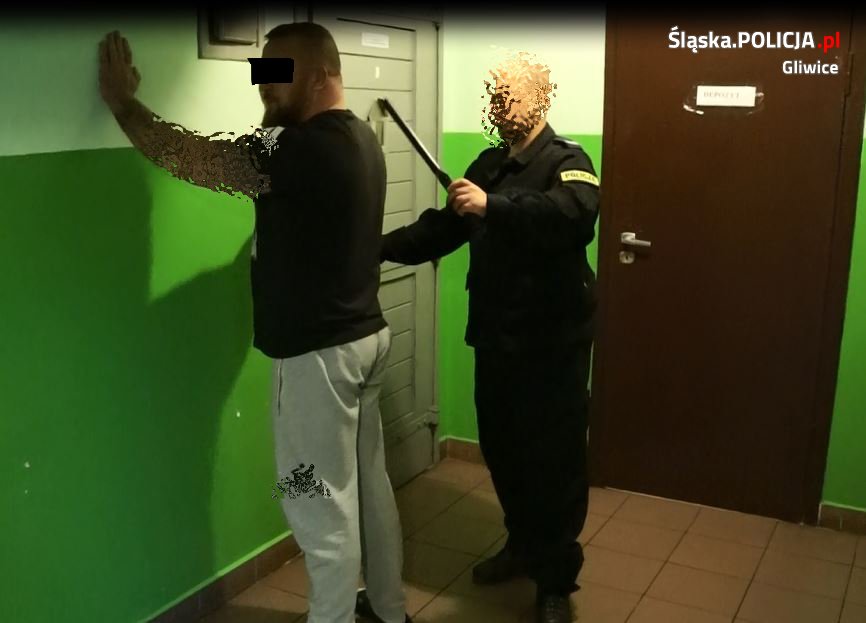 Sutenerski rodzinny biznes przerwany przez gliwickich kryminalnych