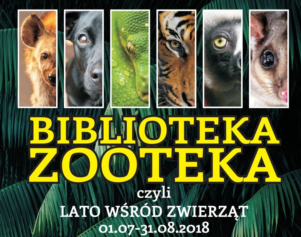 "Biblioteka - ZOOteka, czyli lato wśród zwierząt" akcja MBP