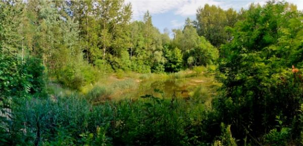 Wielkie zmiany w Parku Tysiąclecia