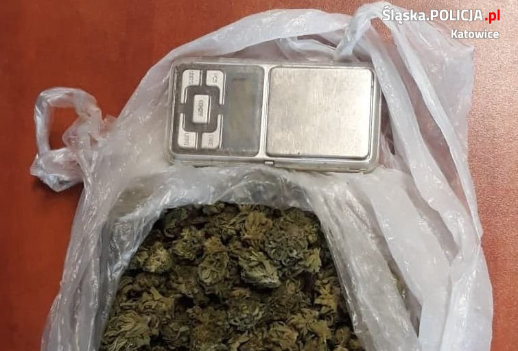 Blisko 100 g marihuany w szafce pod telewizorem...