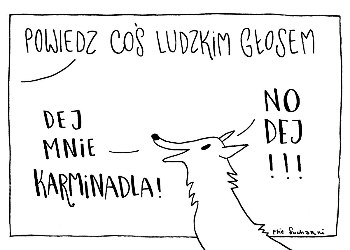 Psie sucharki wspierają chorzowską akcję charytatywną