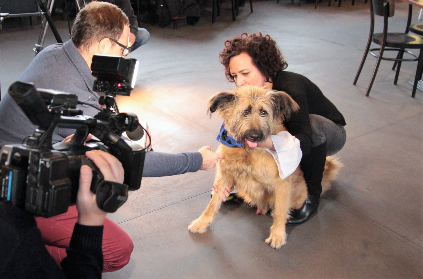 Psie sucharki wspierają chorzowską akcję charytatywną