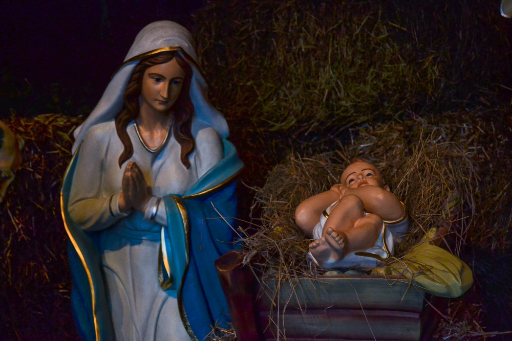 W ZOO czeka żywa szopka 7