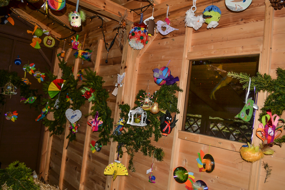 W ZOO czeka żywa szopka 12